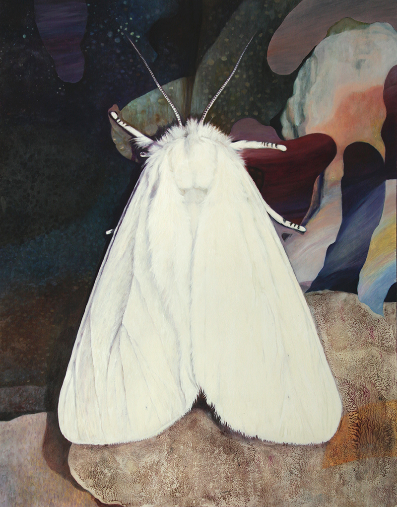 through the dark ages, Sara Welponer oil painting of a white ermine butterfly